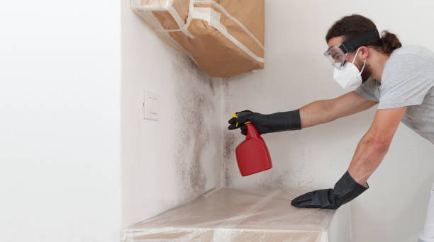 Professional Mold Inspection And Testing technician working in Smithtown, NY
